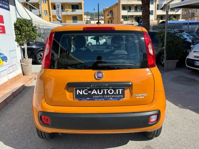 Fiat Panda 1.0 FireFly S&S Hybrid Easy - foto 3 di 4