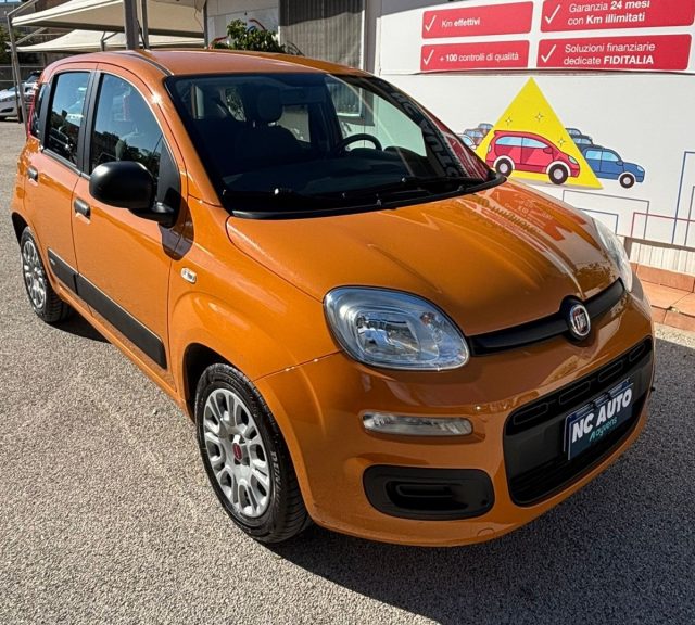 Fiat Panda 1.0 FireFly S&S Hybrid Easy - foto 4 di 4