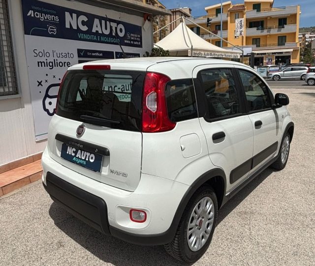 Fiat Panda 1.0 S&S Hybrid Street Van 4 posti - foto 3 di 4