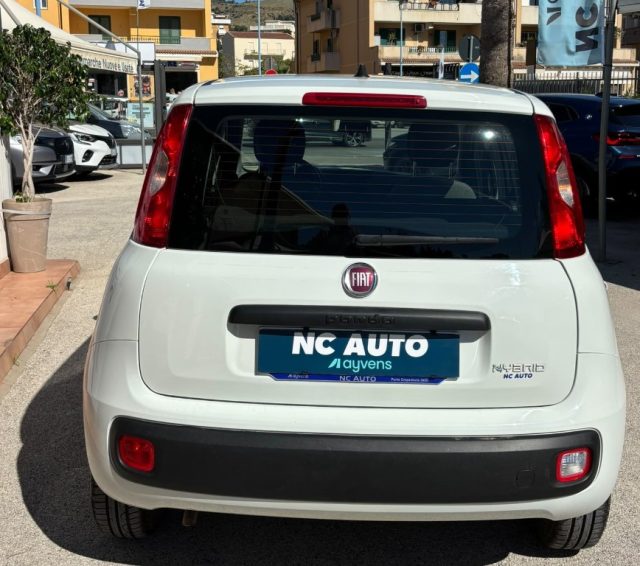 Fiat Panda 1.0 FireFly S&S Hybrid - foto 2 di 4