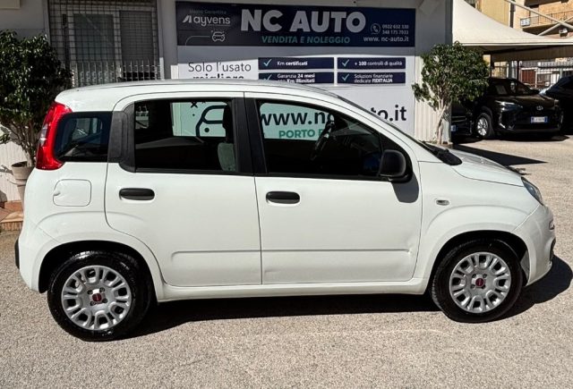 Fiat Panda 1.0 FireFly S&S Hybrid - foto 3 di 4