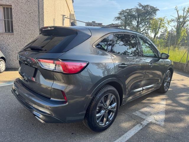 Ford Kuga 2.0 EcoBlue 120 CV Aut. 2WD ST-Line - foto 4 di 4