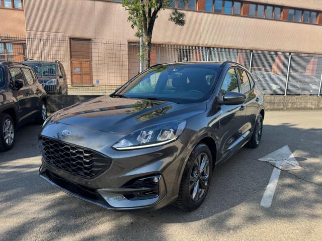 Ford Kuga 2.0 EcoBlue 120 CV Aut. 2WD ST-Line usato a MODENA
