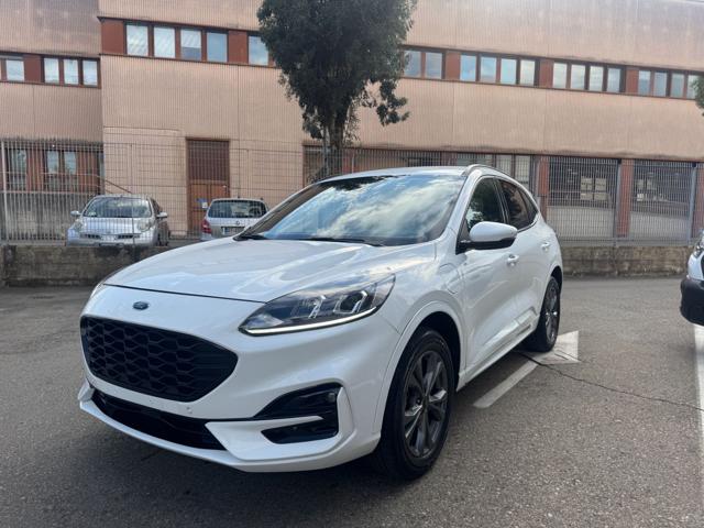 Ford Kuga 2.5 Plug In Hybrid 225 CV CVT ST-Line, del 2023, 93.500 km, in vendita a Modena (MO)