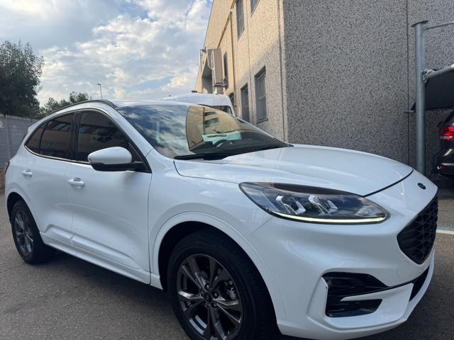 Ford Kuga 2.5 Plug In Hybrid 225 CV CVT ST-Line - foto 3 di 4