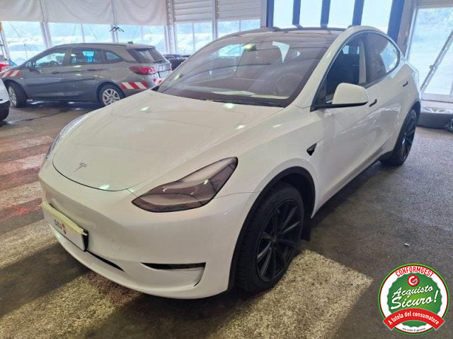 Tesla Model Y Long Range AWD, del 2023, 45.815 km, in vendita a Oderzo (TV)