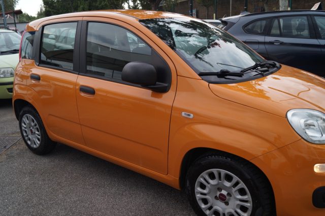 Fiat Panda 1.0 FireFly S&S Hybrid Easy - foto 3 di 4
