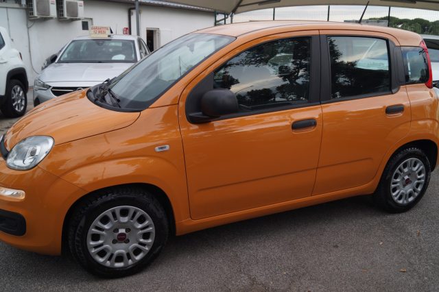 Fiat Panda 1.0 FireFly S&S Hybrid Easy - foto 2 di 4
