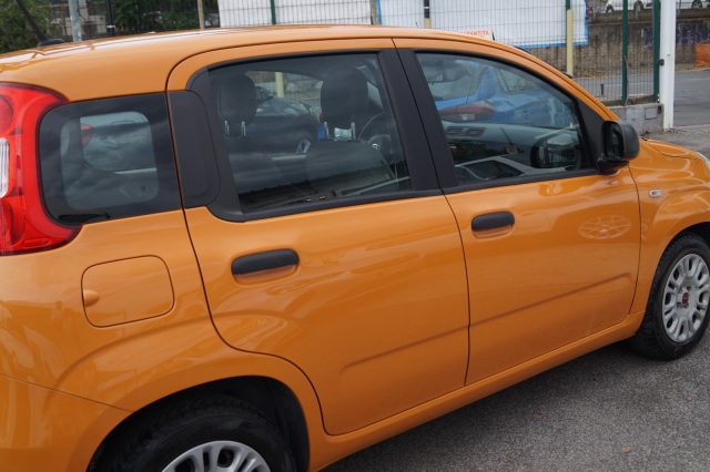 Fiat Panda 1.0 FireFly S&S Hybrid Easy - foto 4 di 4
