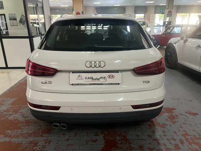 Audi Q3 2.0 TDI 120 CV Business - foto 3 di 4