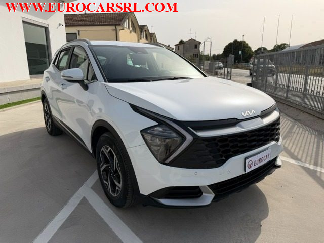 Kia Sportage 1.6 TGDi MHEV Business usato a MONTE PORZIO
