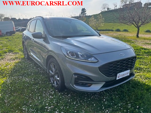 Ford Kuga 1.5 EcoBlue 120 CV 2WD ST-Line usato a MONTE PORZIO