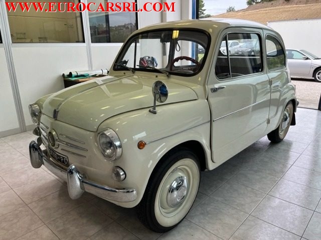 Fiat 600 100 D usato a MONTE PORZIO