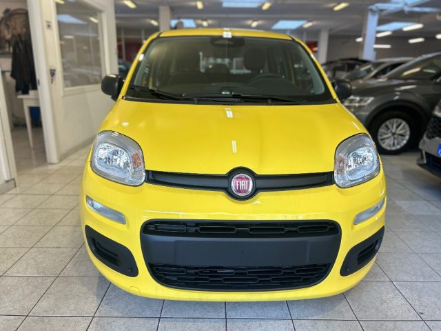 Fiat Panda 1.0 FireFly S&S Hybrid Icon - foto 2 di 4