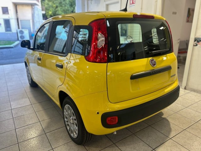 Fiat Panda 1.0 FireFly S&S Hybrid Icon - foto 4 di 4