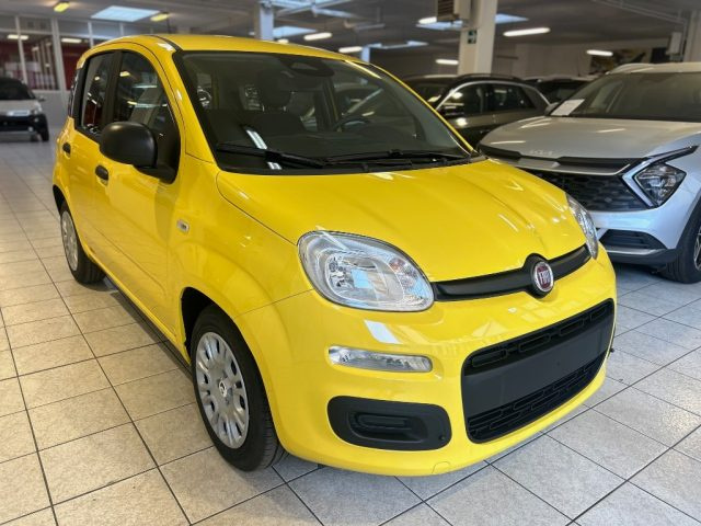 Fiat Panda 1.0 FireFly S&S Hybrid Icon - foto 3 di 4