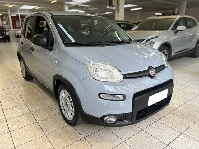 Fiat Panda 1.0 FireFly S&S Hybrid usato a TORINO