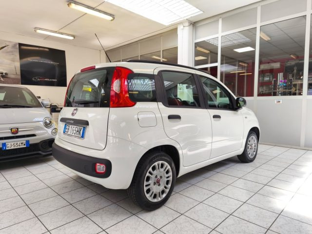 Fiat Panda 0.9 TwinAir Turbo S&S Easy- Cambio Automatico - foto 4 di 4