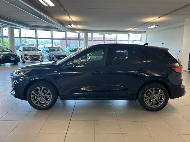 Ford Kuga 2.500 BENZINA FULL HYBRID 190 CV ST-LINE AWD - foto 4 di 4