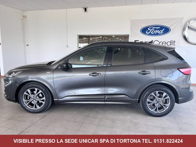 Ford Kuga 1.5 Diesel 120cv. ST-Line , PERFETTA IN TUTTO - foto 4 di 4