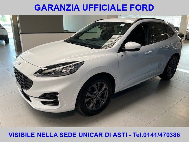 Ford Kuga 2.0 EcoBlue 120 CV aut. 2WD ST-Line X, del 2023, 51.737 km, in vendita a Alba (CN)