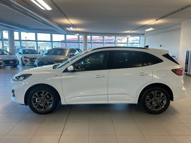 Ford Kuga 2.500 BENZINA FULL HYBRID 190 CV ST-LINE C.AUTO - foto 4 di 4