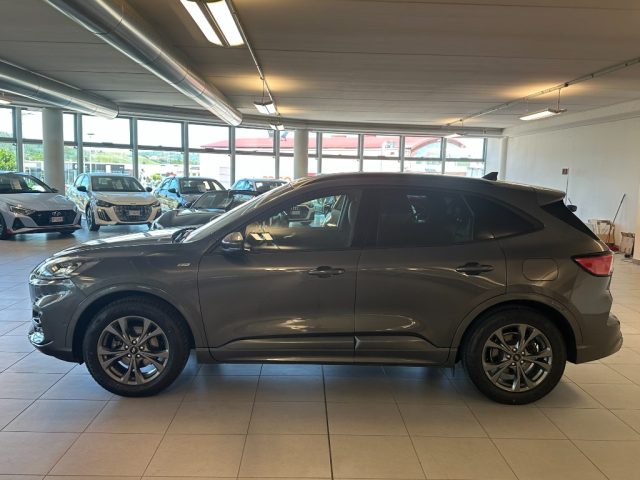 Ford Kuga 1.500 BENZINA 150 CV ST-LINE X - foto 4 di 4