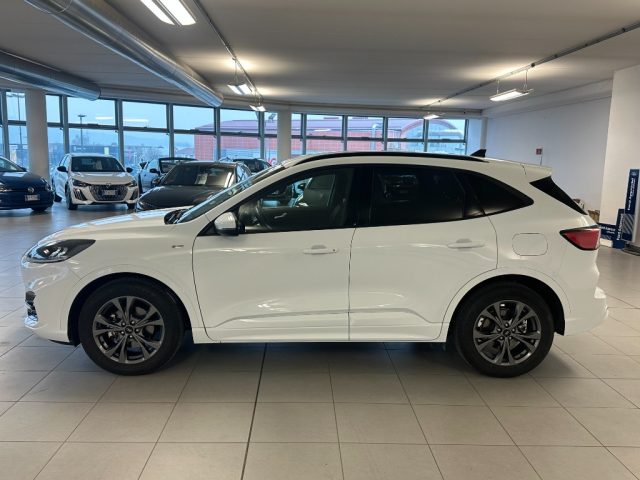 Ford Kuga 2.5 FULL HYBRID 190CV ST-LINE C.AUTO - foto 4 di 4