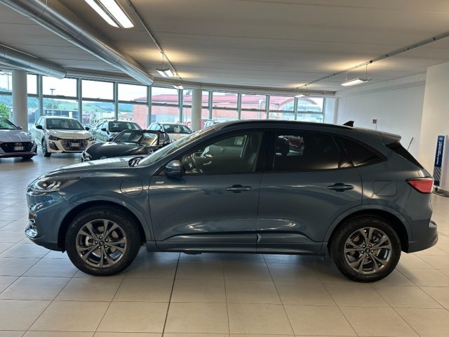 Ford Kuga 2.500 BENZINA PLUG IN HYBRID 225 CV ST-LINE C.AUTO - foto 4 di 4