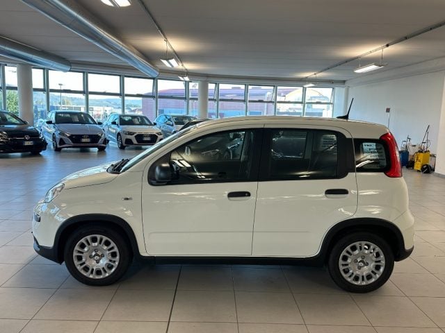 Fiat Panda 1.000 BENZINA HYBRID 70 CV FIREFLY PANDINA - foto 4 di 4