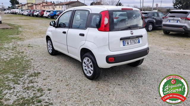 Fiat Panda 0.9 TwinAir Turbo Natural Power Easy - foto 3 di 4