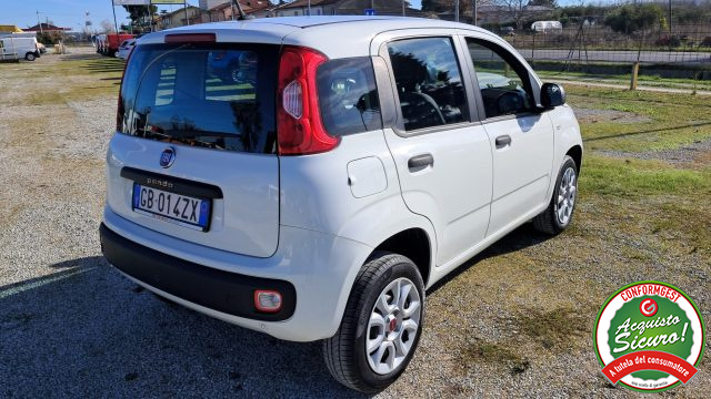 Fiat Panda 0.9 TwinAir Turbo Natural Power Easy usato a RIMINI