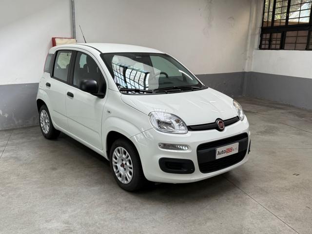 Fiat Panda 1.2 Easy 5 POSTI usato a MILANO
