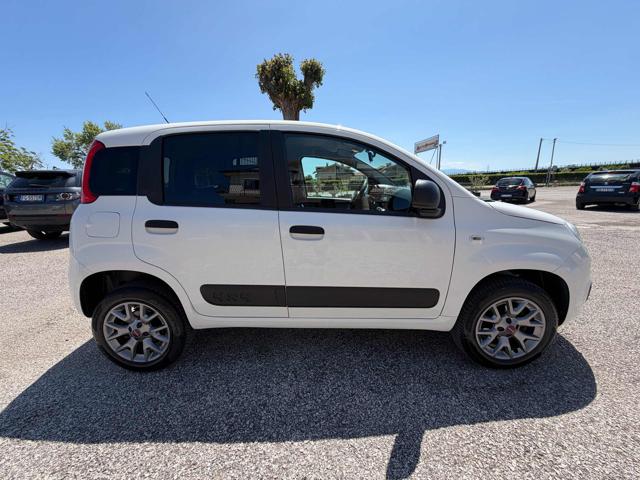 Fiat Panda 0.9 TwinAir Turbo S&S 4x4 Pop Van 2 posti - foto 4 di 4
