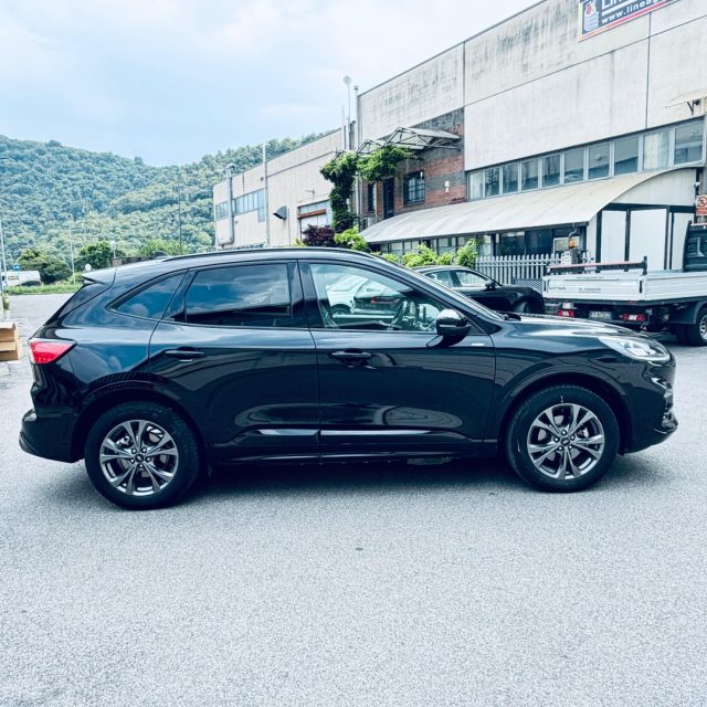 Ford Kuga 2.5 Plug In Hybrid 225 CV CVT 2WD ST-Line X - foto 4 di 4