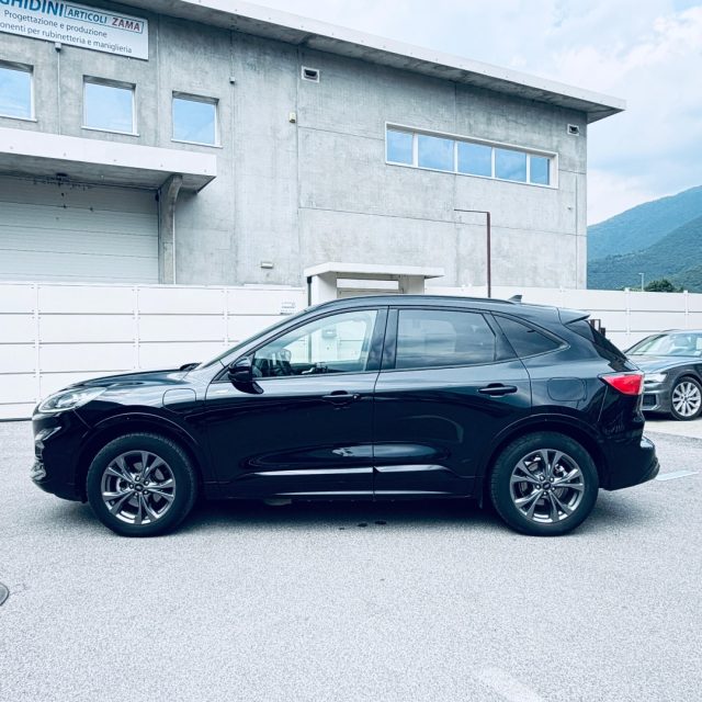 Ford Kuga 2.5 Plug In Hybrid 225 CV CVT 2WD ST-Line X - foto 3 di 4
