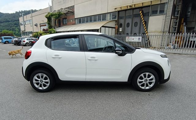 Citroen C3 BlueHDi 100 S&S Business autocarro n1 5 posti usato a CONCESIO