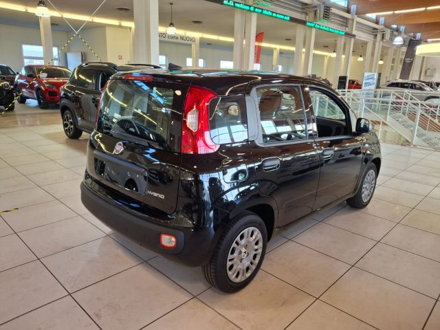 Fiat Panda 1.0 FireFly S&S Hybrid - PROMO K73 - foto 4 di 4