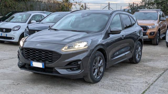 Ford Kuga N1 ST-LINE 1.5d 120cv usato a ROMA