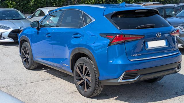 Lexus NX 300h 2.5FULL HYBRID 4WD CVT 243cv(155cv) - foto 4 di 4
