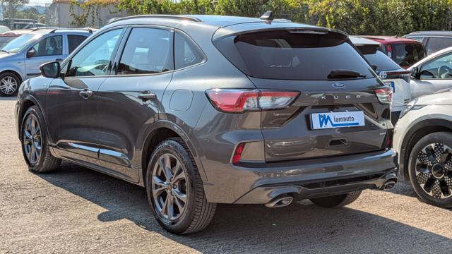 Ford Kuga FULL HYBRID ST-Line 2.5cc 152cv(190cv) AUTO - foto 4 di 4