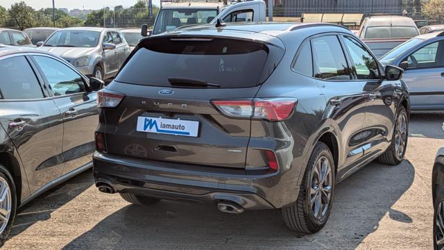 Ford Kuga FULL HYBRID ST-Line 2.5cc 152cv(190cv) AUTO - foto 3 di 4