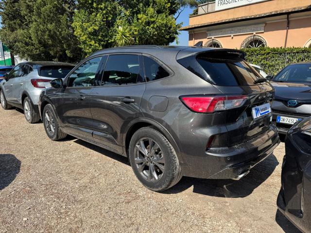 Ford Kuga ST-Line 1.5cc 150cv CAMERA POST. NAVI CRUISE C. - foto 3 di 4