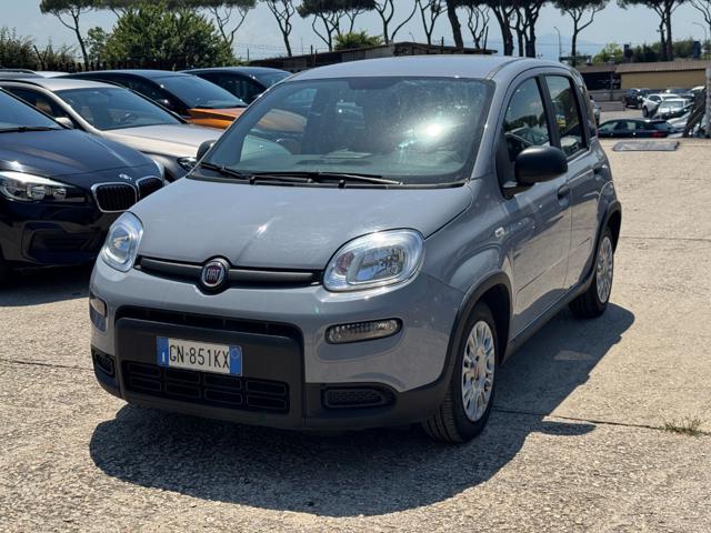 Fiat Panda Hybrid Citylife 1.0cc 70cv usato a ROMA