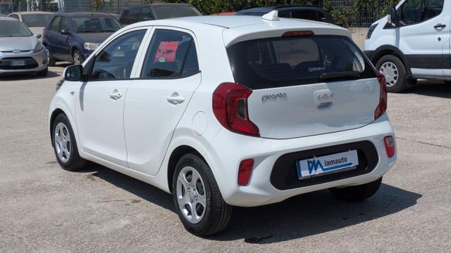 Kia Picanto 1.0cc 67cv - foto 4 di 4