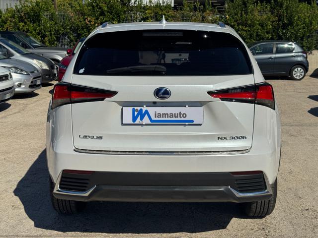 Lexus NX 300h Hybrid Business 2.5cc 155cv (243) NAVIG. CRUISE C. - foto 4 di 4