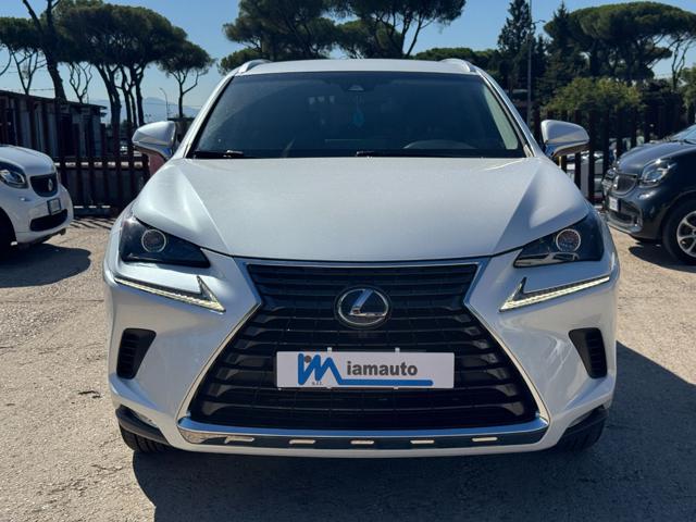 Lexus NX 300h Hybrid Business 2.5cc 155cv (243) NAVIG. CRUISE C. - foto 2 di 4