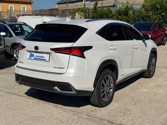 Lexus NX 300h Hybrid Business 2.5cc 155cv (243) NAVIG. CRUISE C. - foto 3 di 4