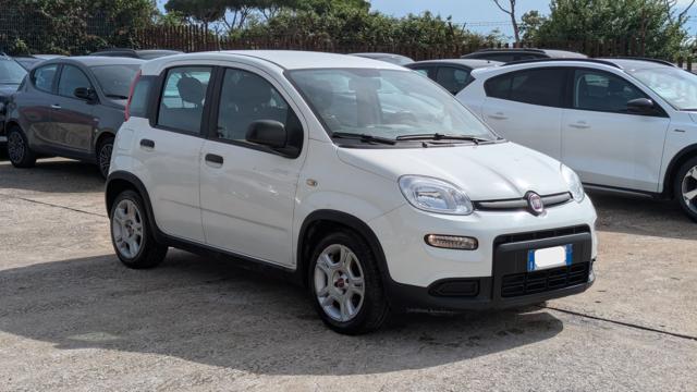 Fiat Panda 1.0Hybrid Citylife 70cv, del 2024, 58.497 km, in vendita a Roma (RM)