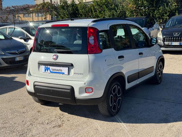 Fiat Panda FireFly Hybrid 1.0cc 69cv - foto 3 di 4